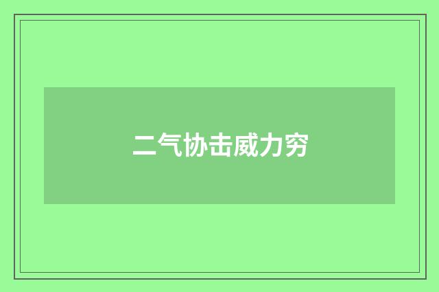 二气协击威力穷