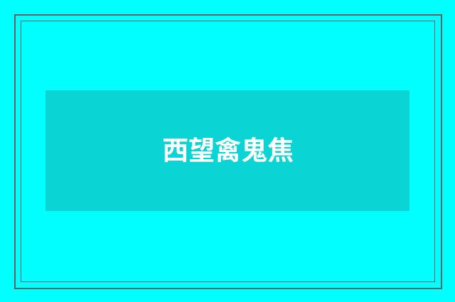 西望禽鬼焦