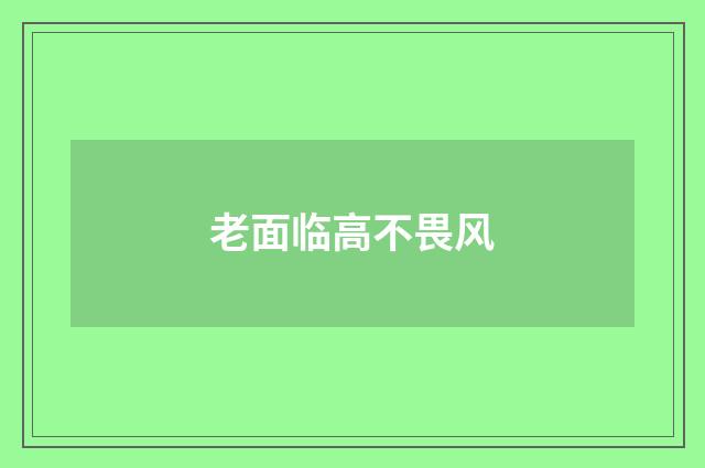 老面临高不畏风