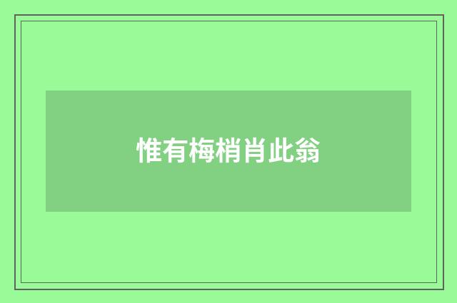 惟有梅梢肖此翁