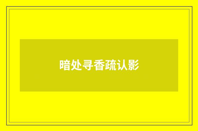 暗处寻香疏认影