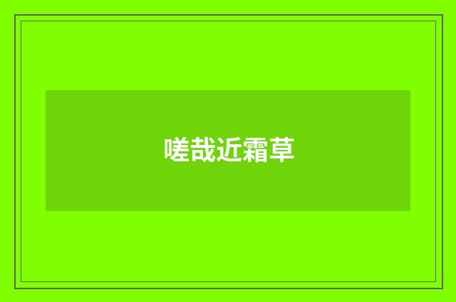 嗟哉近霜草