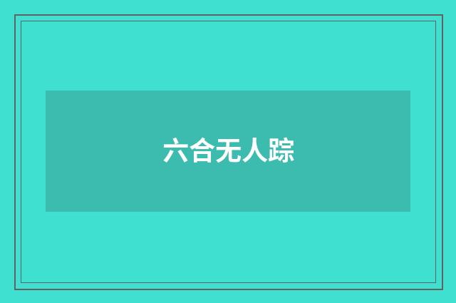 六合无人踪