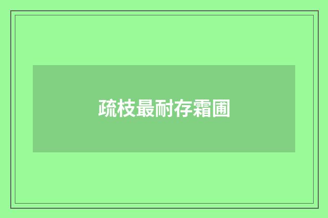 疏枝最耐存霜圃