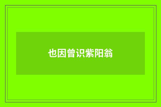 也因曾识紫阳翁