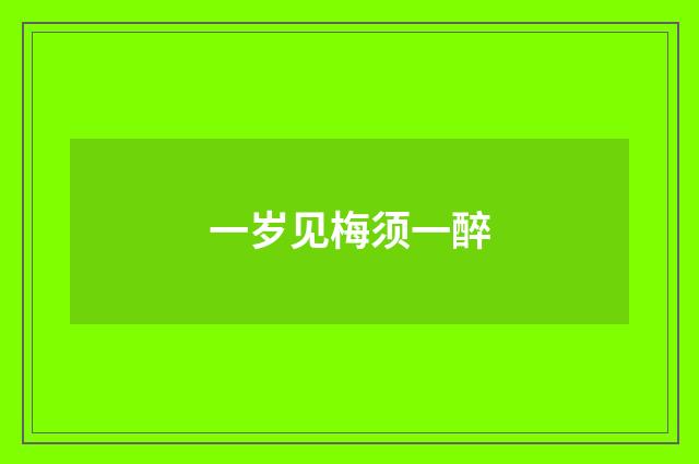一岁见梅须一醉