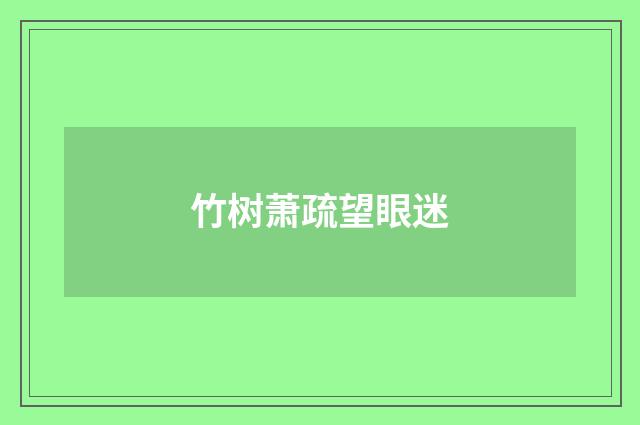 竹树萧疏望眼迷