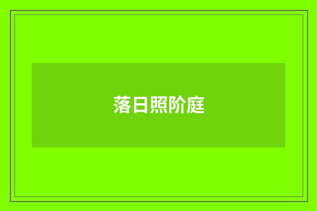 落日照阶庭
