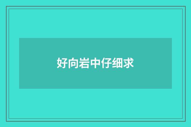 好向岩中仔细求