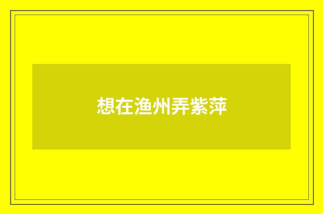 想在渔州弄紫萍