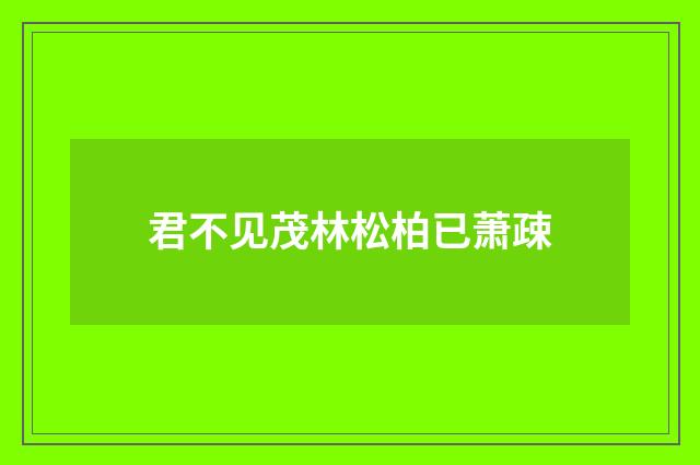 君不见茂林松柏已萧疎