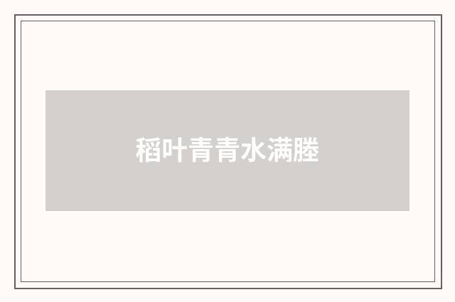 稻叶青青水满塍
