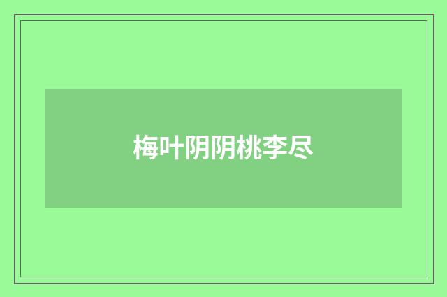 梅叶阴阴桃李尽