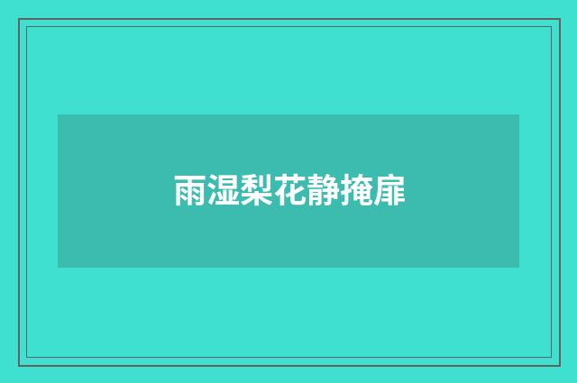 雨湿梨花静掩扉