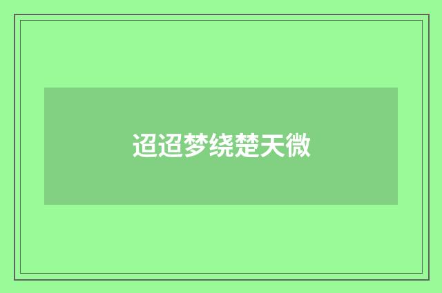 迢迢梦绕楚天微