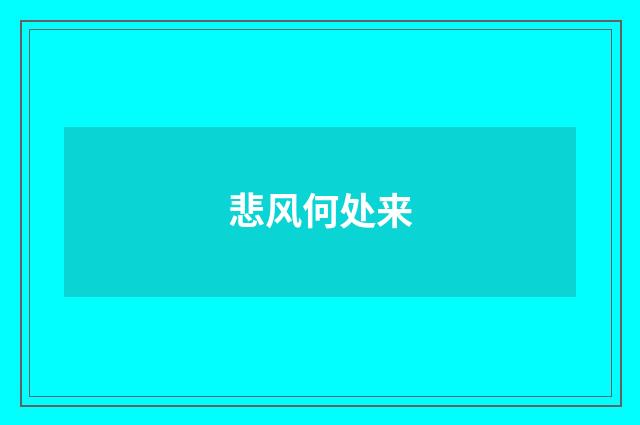 悲风何处来