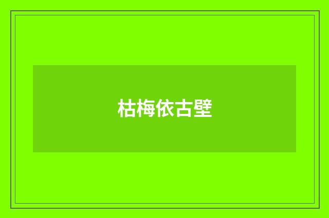 枯梅依古壁