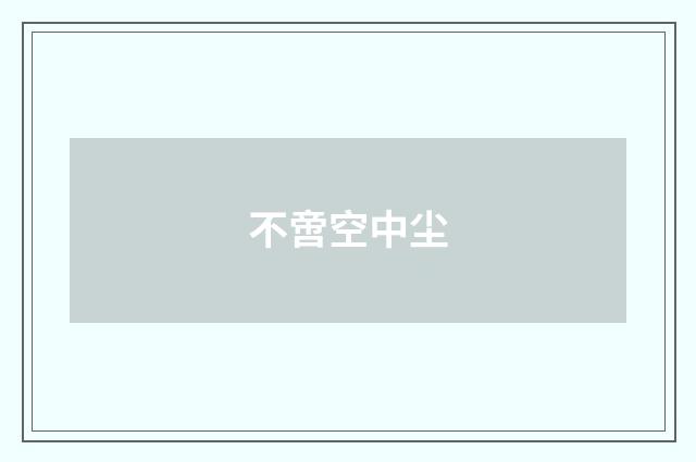 不啻空中尘