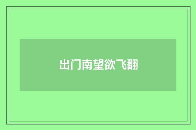 出门南望欲飞翻