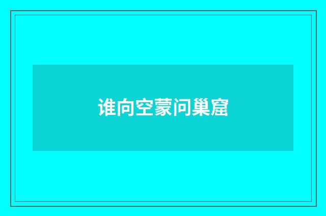 谁向空蒙问巢窟