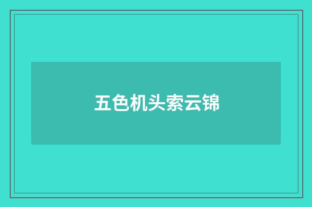 五色机头索云锦