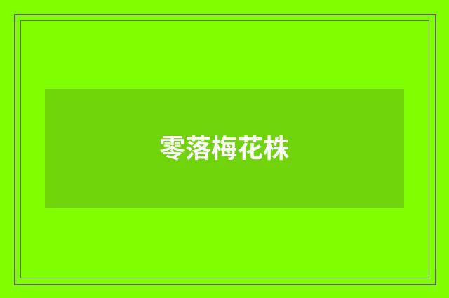 零落梅花株