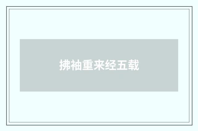 拂袖重来经五载