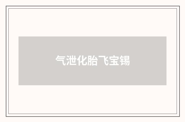 气泄化胎飞宝锡
