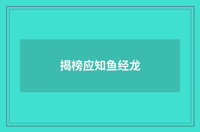 揭榜应知鱼经龙