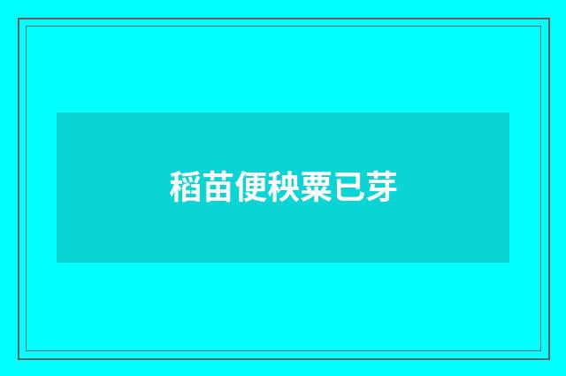 稻苗便秧粟已芽