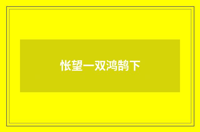 怅望一双鸿鹄下