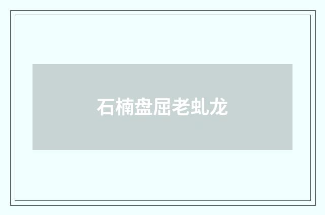 石楠盘屈老虬龙
