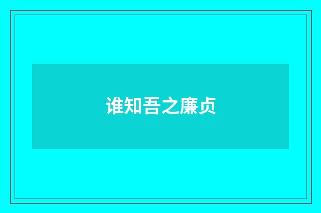 谁知吾之廉贞