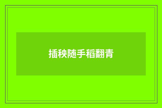 插秧随手稻翻青