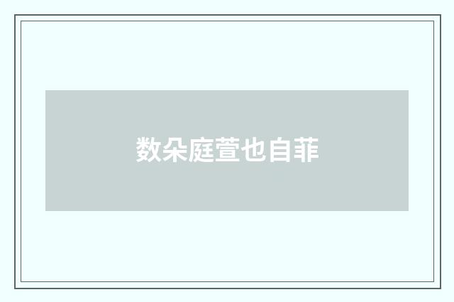 数朵庭萱也自菲