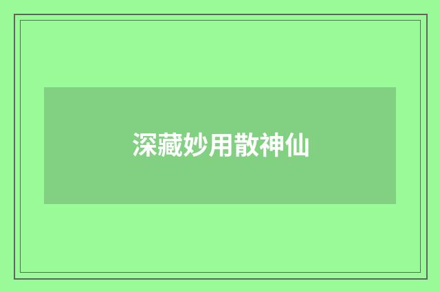 深藏妙用散神仙