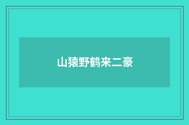 山猿野鹤来二豪