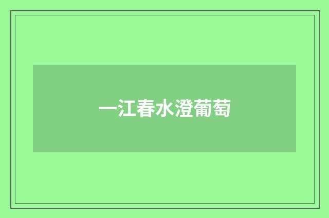 一江春水澄葡萄
