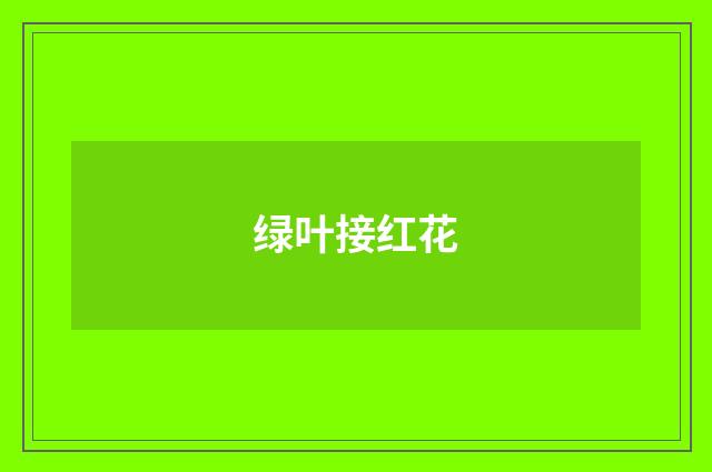 绿叶接红花