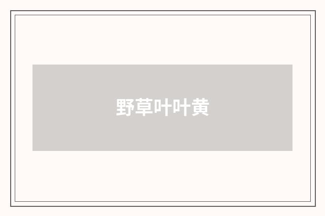 野草叶叶黄