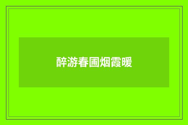 醉游春圃烟霞暖