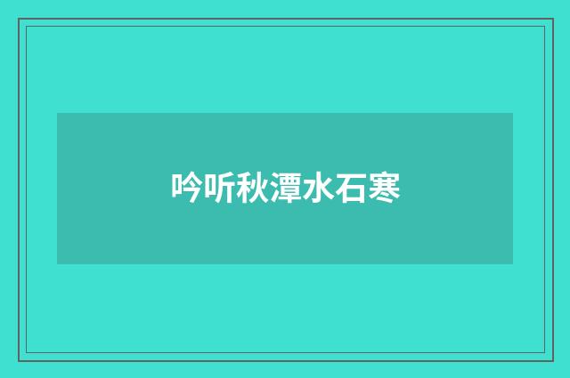 吟听秋潭水石寒