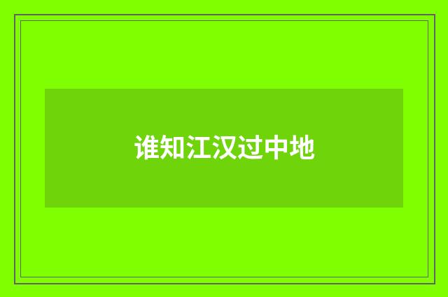 谁知江汉过中地