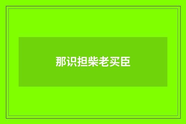 那识担柴老买臣