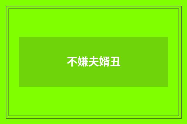 不嫌夫婿丑