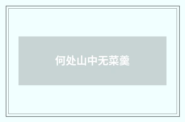 何处山中无菜羹