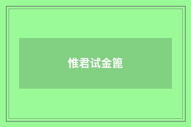 惟君试金篦