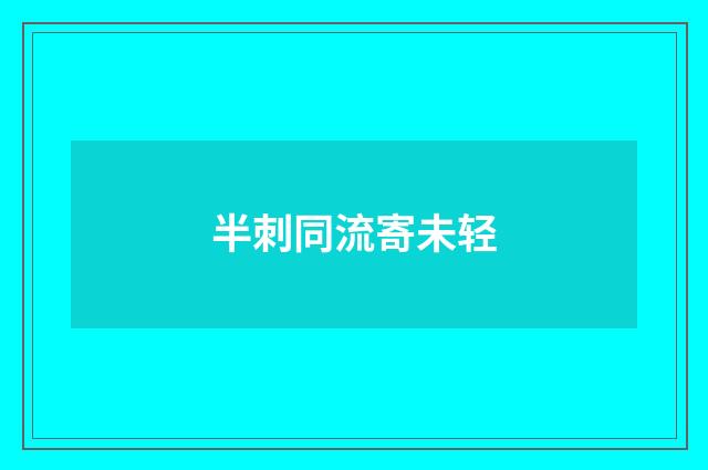 半刺同流寄未轻