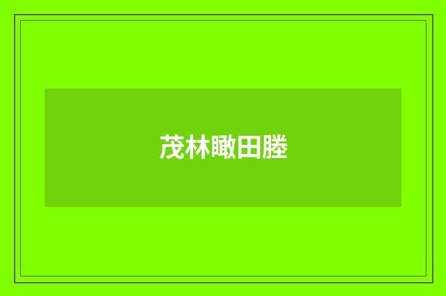 茂林瞰田塍