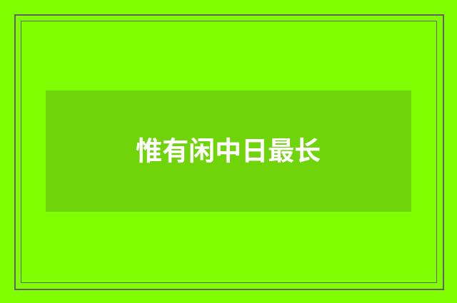 惟有闲中日最长
